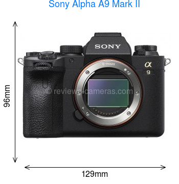 Sony Alpha A9 Mark II
